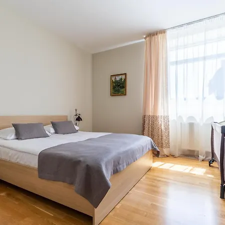 Camelia Centre Appartement